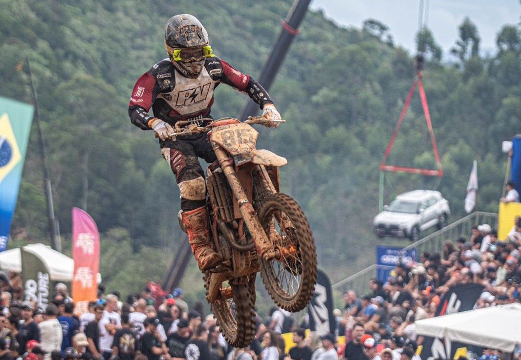 canelina piloto